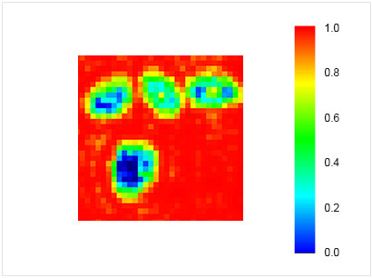 Terahertz inspection of seeds