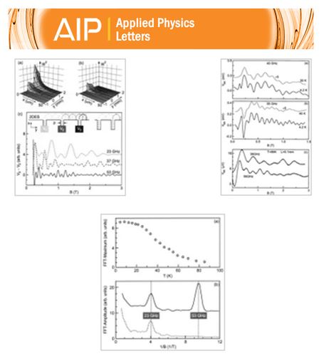 017-publication_Appl. Phys. Lett. 86, 044101