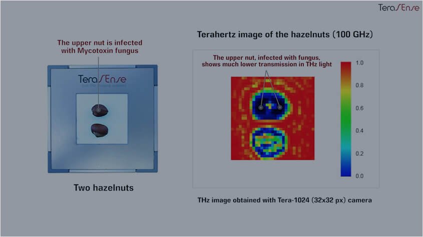 Demonstration of THz food imaging