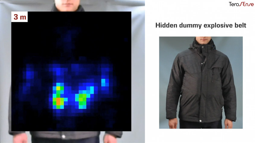 Demonstration of THz food imaging